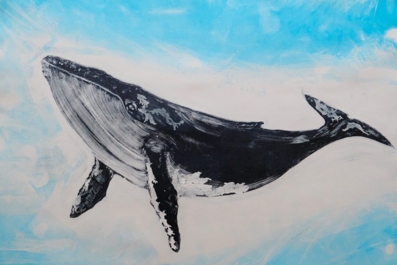 Raine Clarke: Underwing Studio profile image